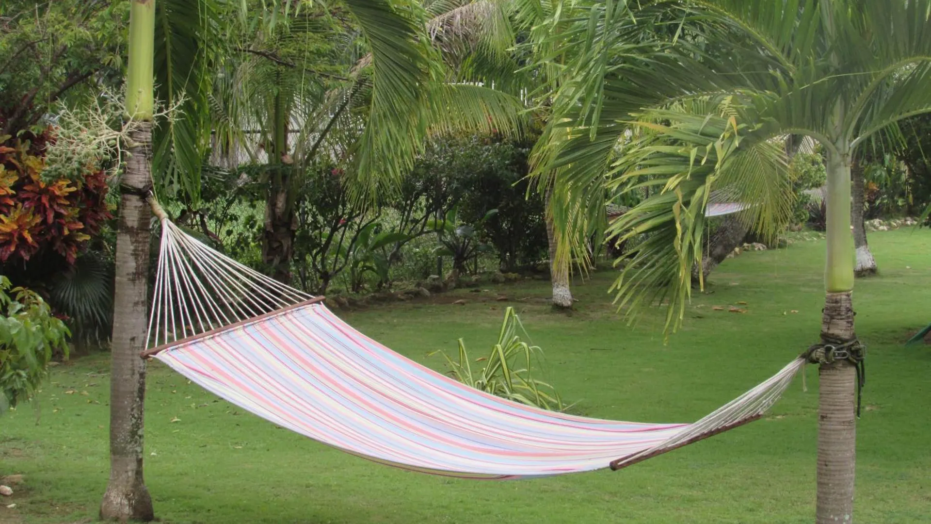 Hotel Nelsons Retreat Negril Penzion
