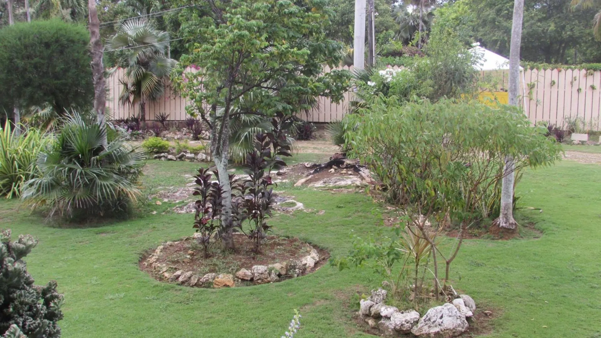 Affittacamere Hotel Nelsons Retreat Negril Giamaica