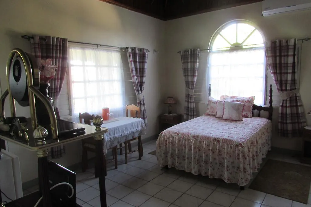 Penzion Hotel Nelsons Retreat Negril Jamajka