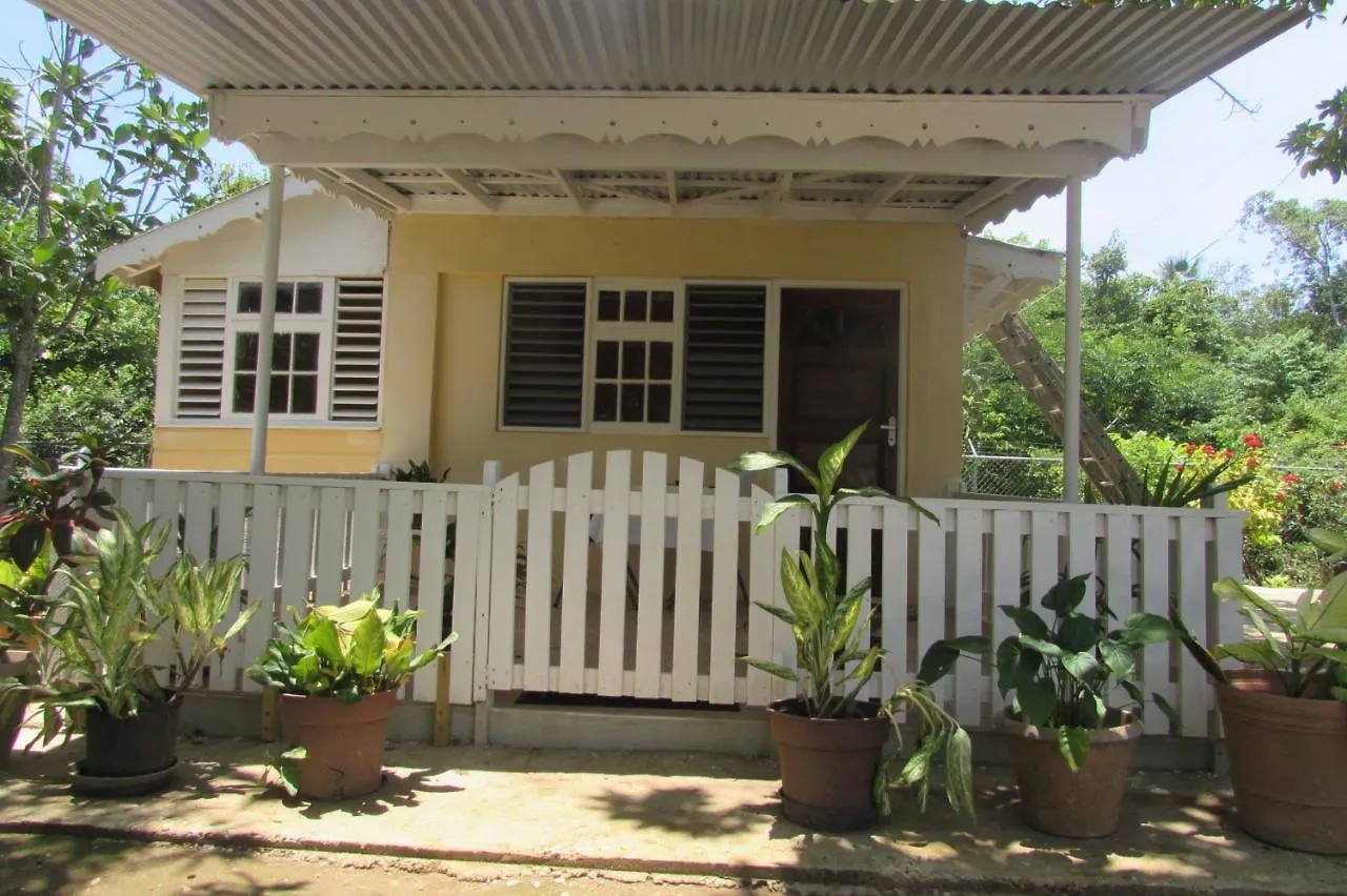 Nelsons Retreat Hotel Negril